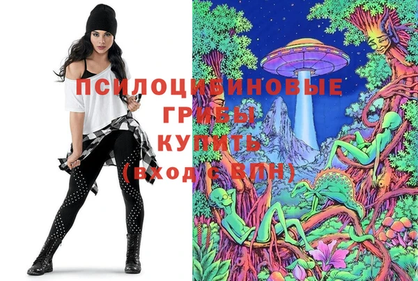 MDMA Дмитриев