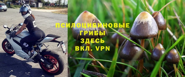 каннабис Дмитров