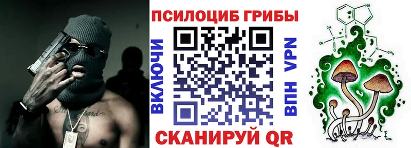 Галлюциногенные грибы мицелий  цена наркотик  Западная Двина 
